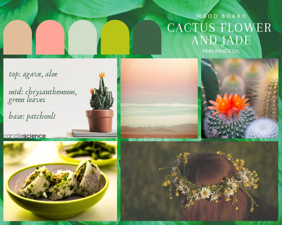 Cactus Flower and Jade